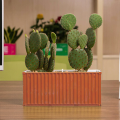 Custom Shipping Container FlowerPot