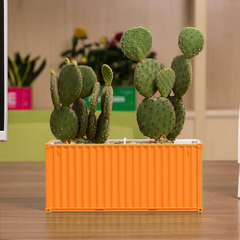 Custom Shipping Container FlowerPot