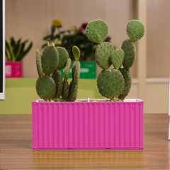 Custom Shipping Container FlowerPot