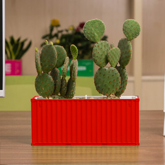Custom Shipping Container FlowerPot
