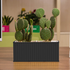 Custom Shipping Container FlowerPot