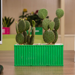 Custom Shipping Container FlowerPot