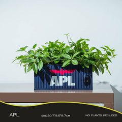 Banboring Dark Blue-2 Shipping Container Model Flowerpot