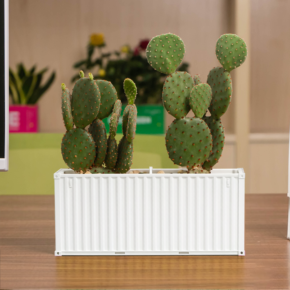 Custom Shipping Container FlowerPot